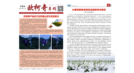 2022年第十一期《多多28月刊》发行