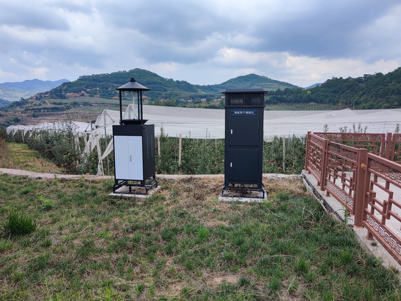 多多28智能监测设备助力灵宝苹果产业高质量发展