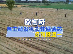 多多28自主研发害虫性诱诱芯|系列报道一